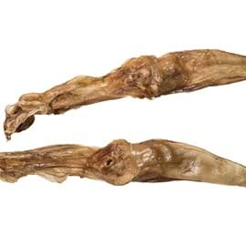 Rabbit ears