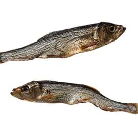 Baltic herring