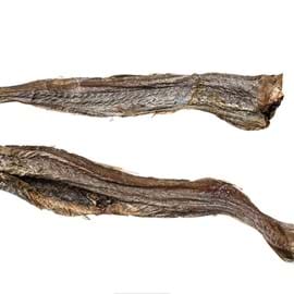 Blue whiting