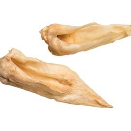 Lamb ears