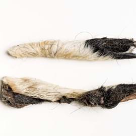 Lamb head skin with hair