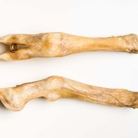 Lamb legs
