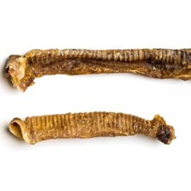 Lamb trachea
