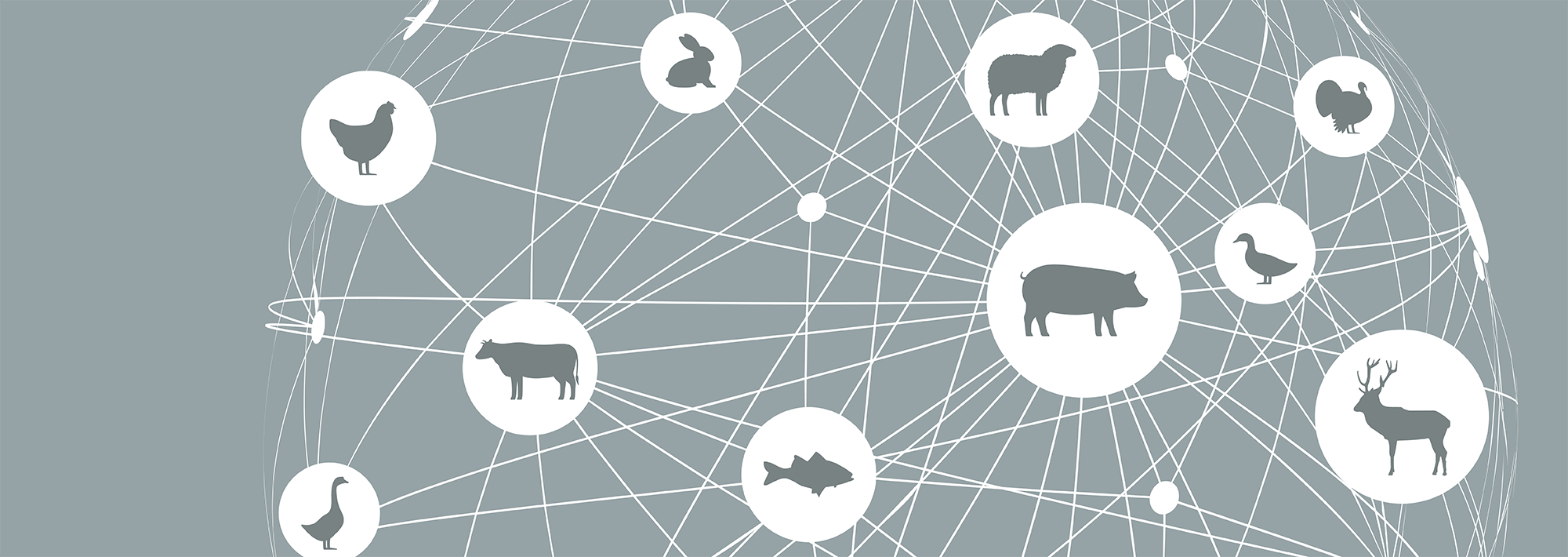 Global sourcing – multiple species