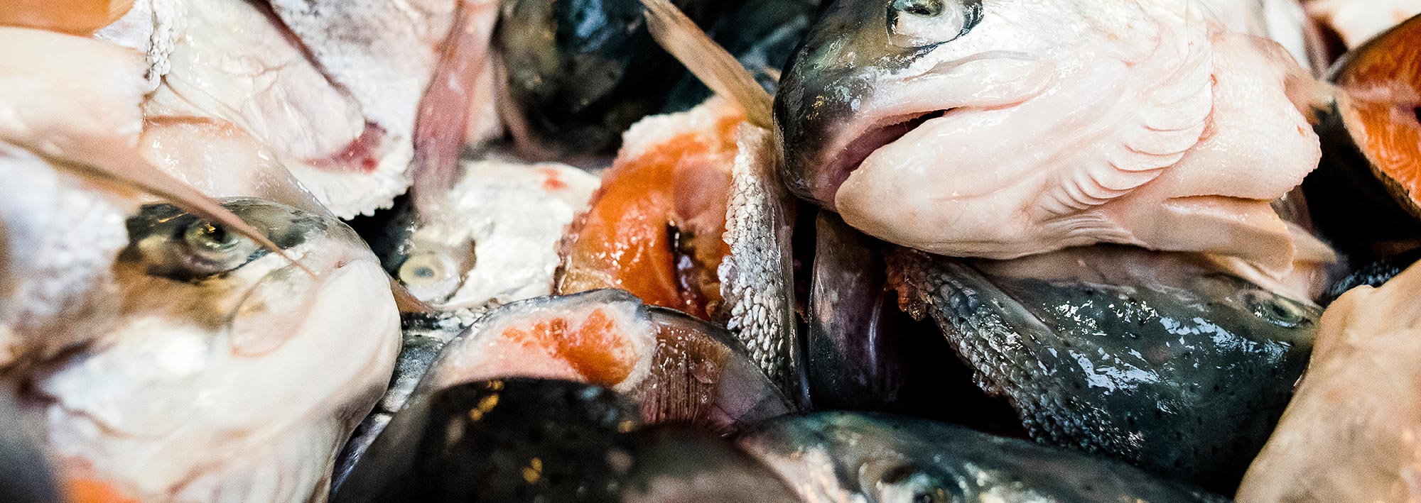 Wet pet food ingredients