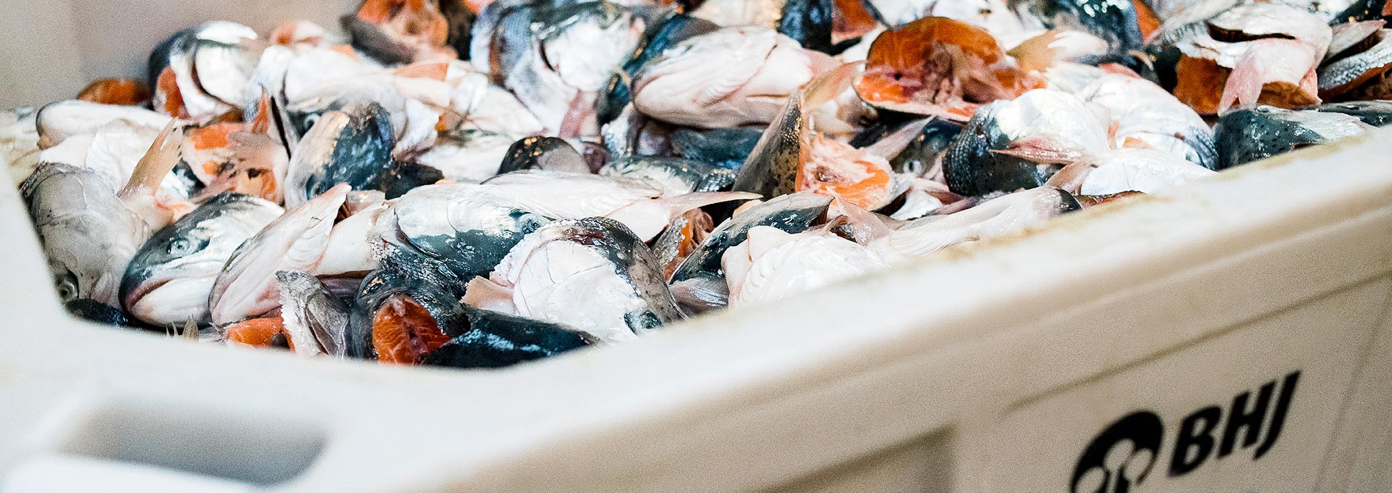 Fresh in tank trucks / bins