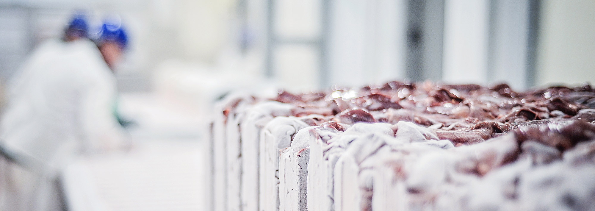 Executive Management Team