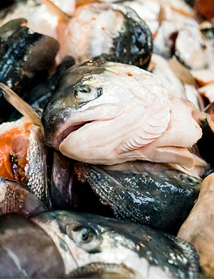 bhj-uk-seafood-premium-raw-materials-image-301x392