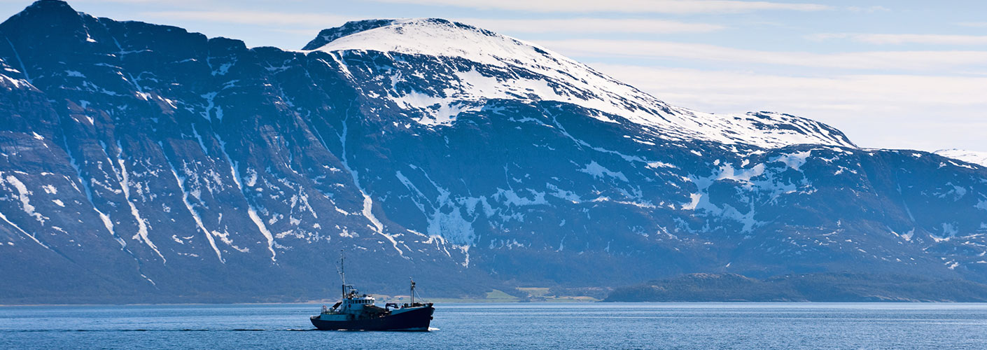 Sustainable sourcing